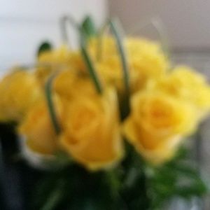 Meet your Posher, Karlee